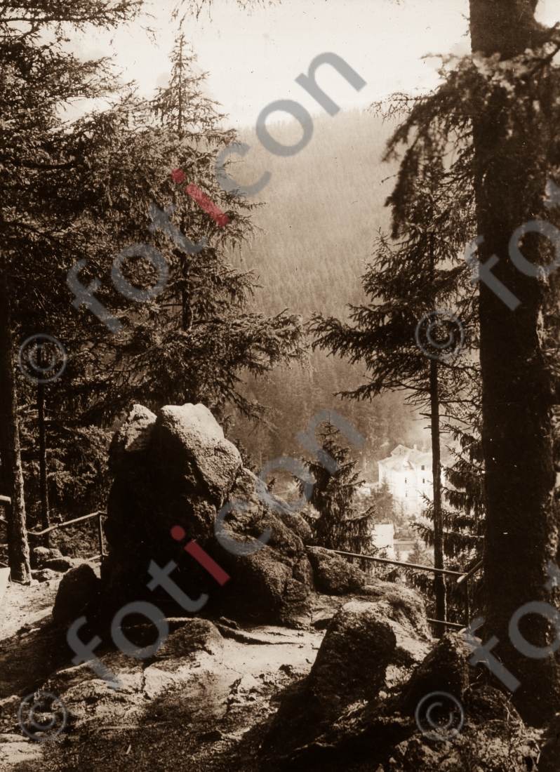 Im Wald bei Friedrichroda I In the forest near Friedrichroda - Foto foticon-simon-169-014-sw.jpg | foticon.de - Bilddatenbank für Motive aus Geschichte und Kultur